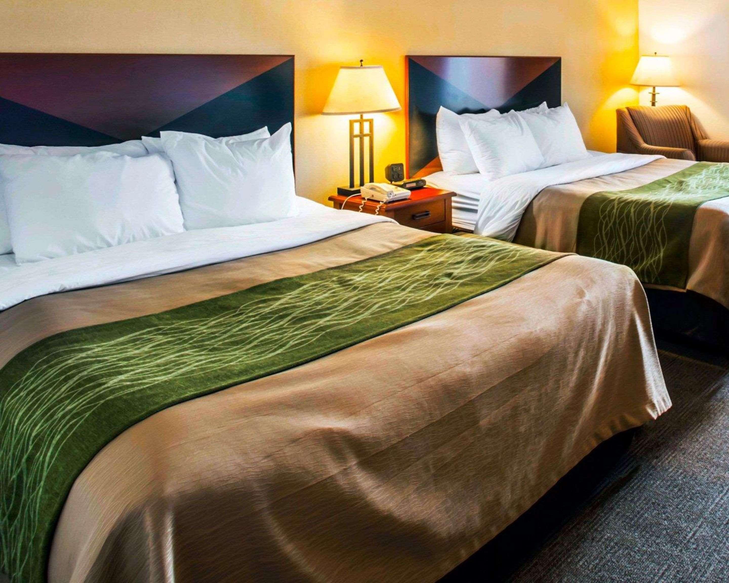Comfort Inn&Suites Greenville Eksteriør bilde