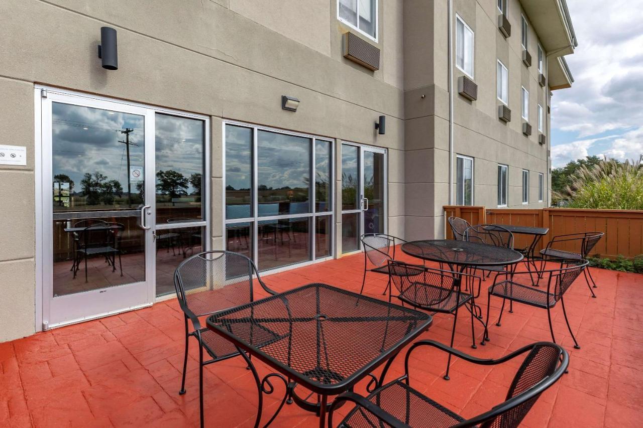 Comfort Inn&Suites Greenville Eksteriør bilde